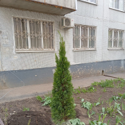 Ворошиловский — Ремонт цоколя